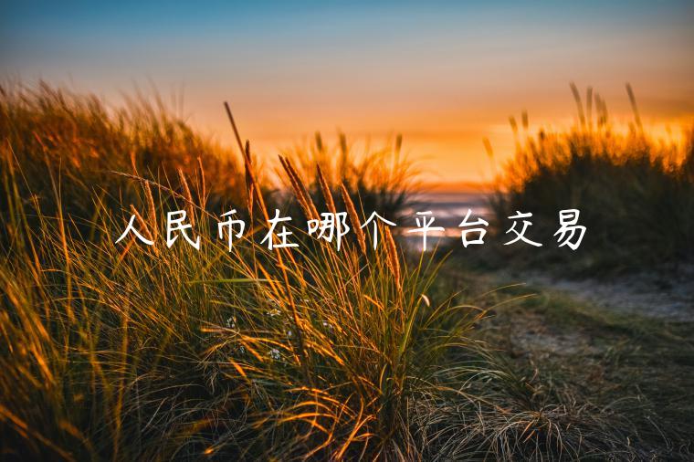人民币在哪个平台交易 人民币在哪个平台交易