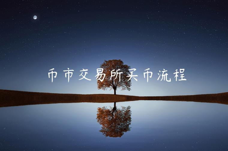 币市交易所买币流程 币市交易所买币流程