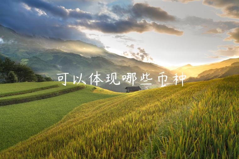 可以体现哪些币种 可以体现哪些币种