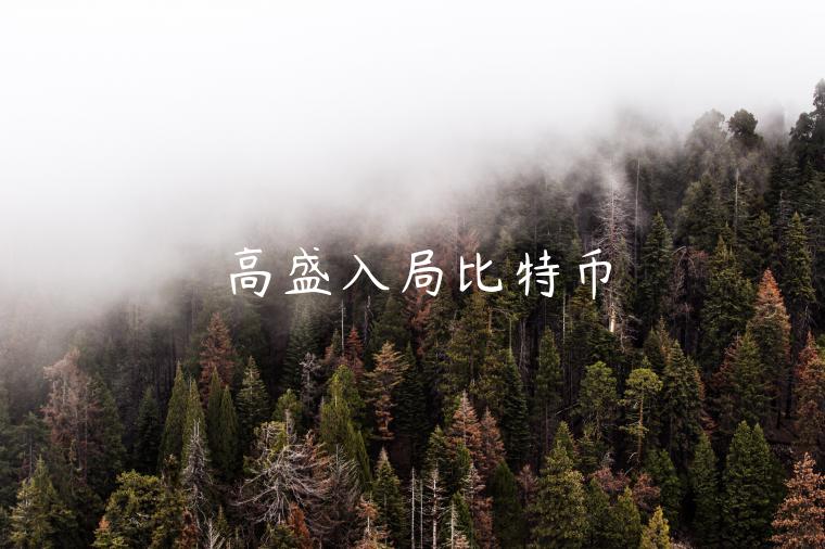 高盛入局比特币 高盛入局比特币