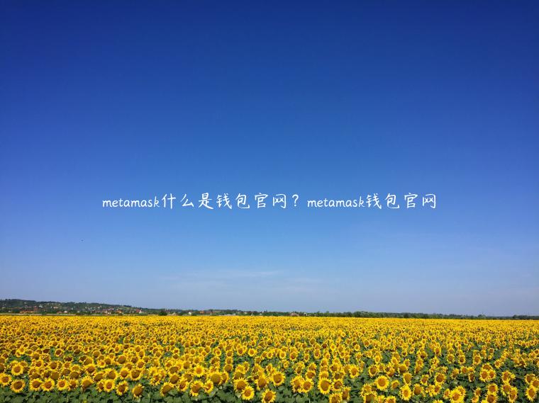 metamask什么是钱包官网？metamask钱包官网