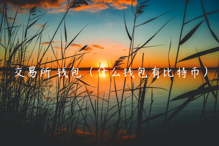 交易所 钱包(什么钱包有比特币) 交易所 钱包(什么钱包有比特币)