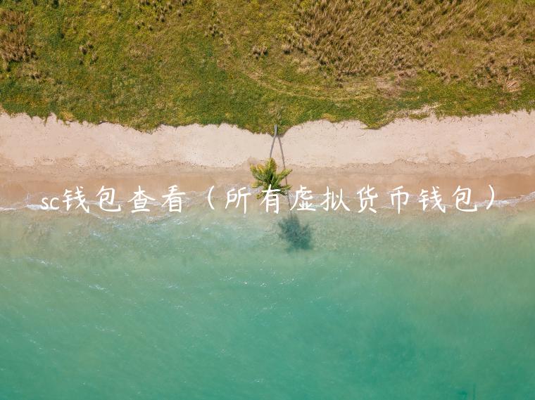 sc钱包查看(所有虚拟货币钱包) sc钱包查看(所有虚拟货币钱包)