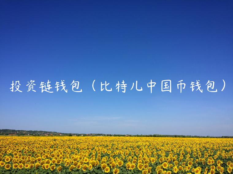 投资链钱包(比特儿中国币钱包) 投资链钱包(比特儿中国币钱包)