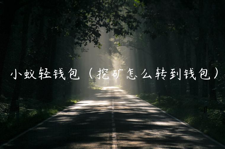 小蚁轻钱包（挖矿怎么转到钱包）