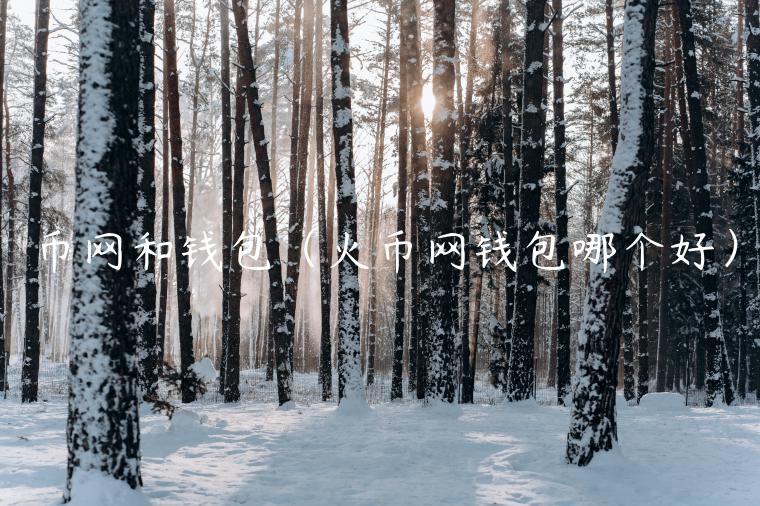 币网和钱包（火币网钱包哪个好）