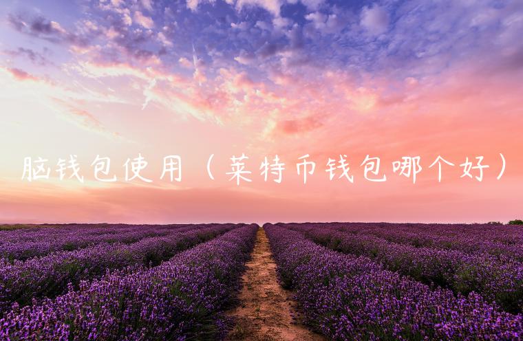 脑钱包使用（莱特币钱包哪个好）