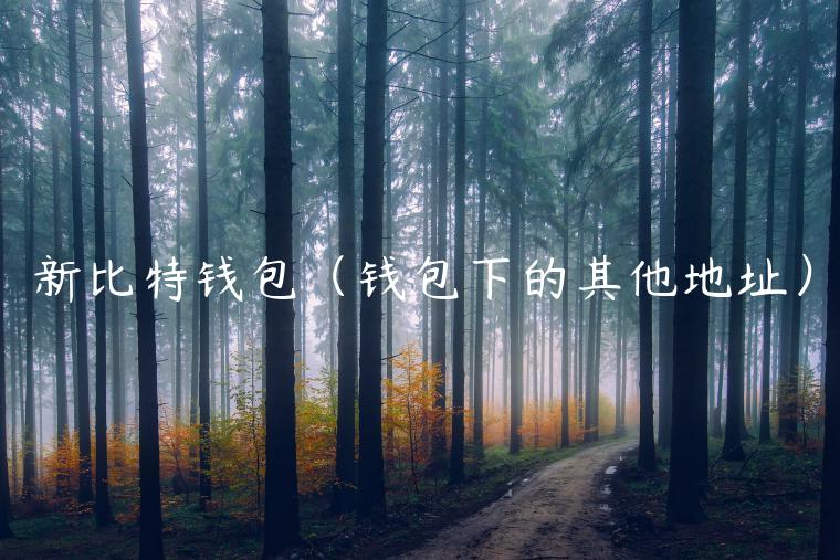 新比特钱包(钱包下的其他地址) 新比特钱包(钱包下的其他地址)