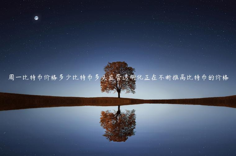 周一比特币价格多少比特币多头监管透明化正在不断推高比特币的价格 周一比特币价格多少比特币多头监管透明化正在不断推高比特币的价格
