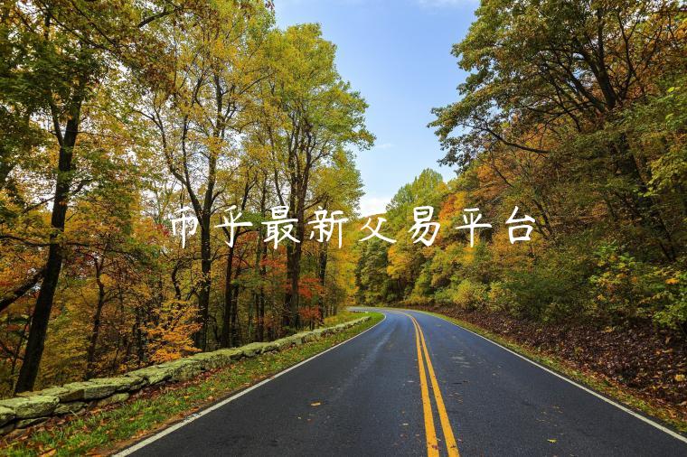 币乎最新交易平台 币乎最新交易平台