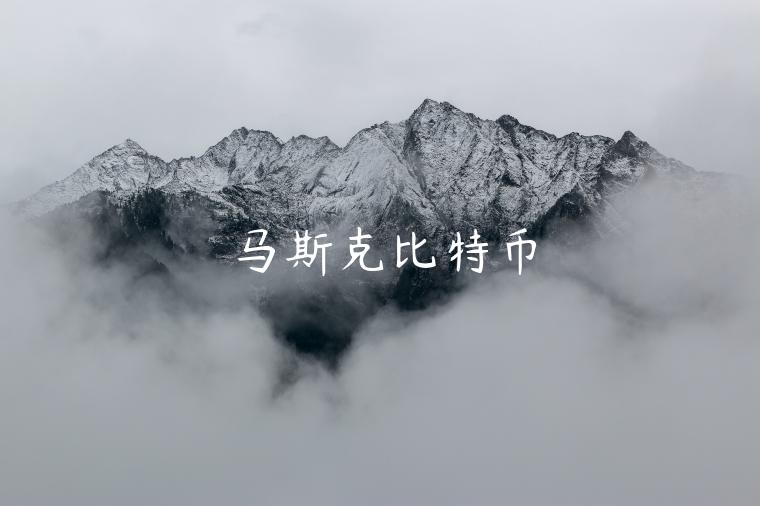 马斯克比特币 马斯克比特币