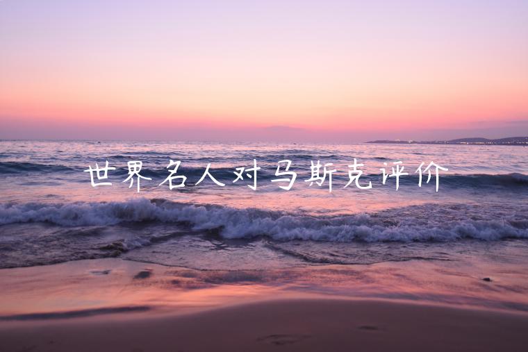 世界名人对马斯克评价 世界名人对马斯克评价
