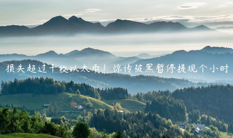 损失超过千枚以太币!惊传被黑暂停提现个小时 损失超过千枚以太币!惊传被黑暂停提现个小时