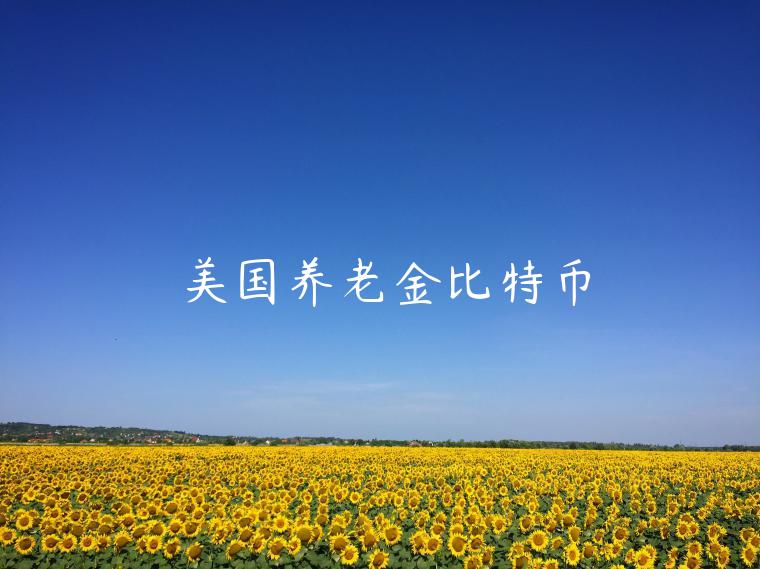 美国养老金比特币 美国养老金比特币