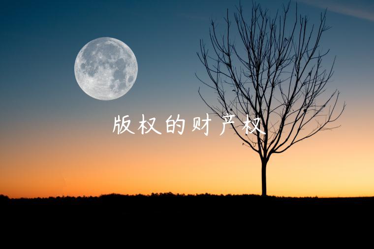 版权的财产权 版权的财产权