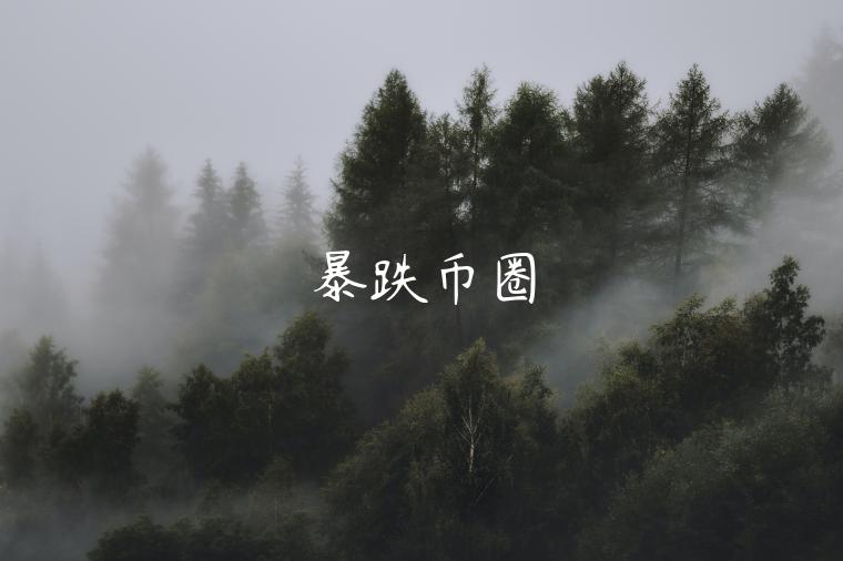 暴跌币圈 暴跌币圈