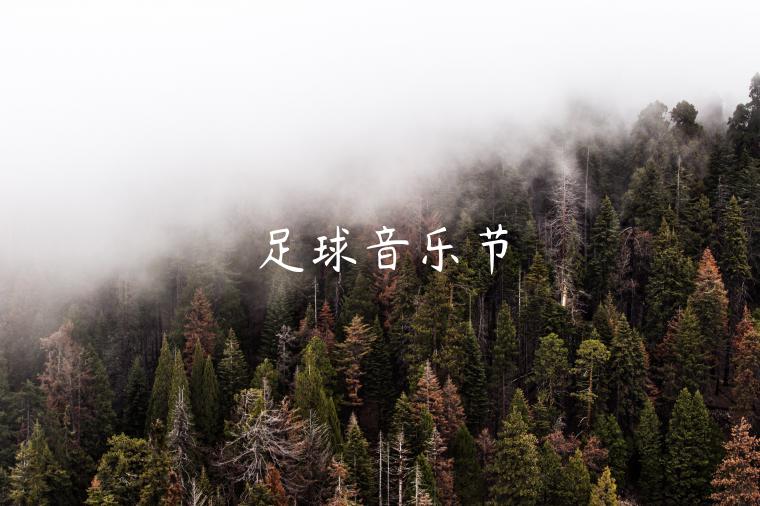 足球音乐节 足球音乐节