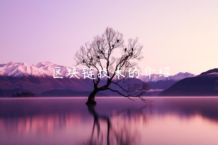 区块链技术的介绍 区块链技术的介绍