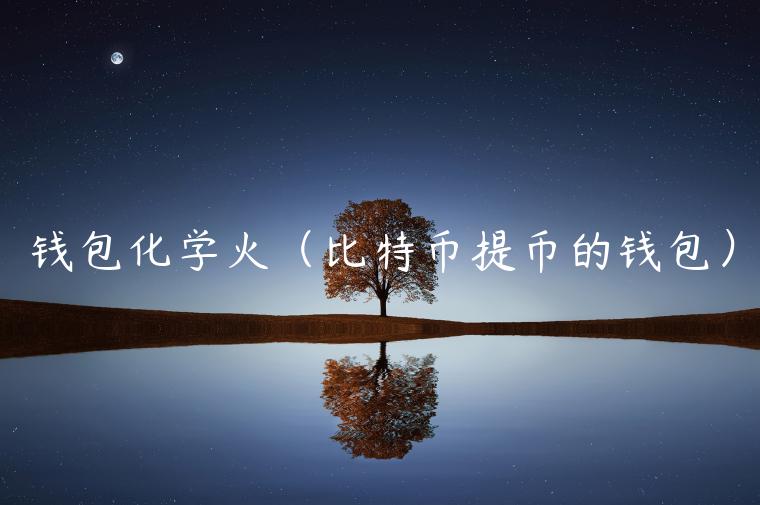 钱包化学火(比特币提币的钱包) 钱包化学火(比特币提币的钱包)