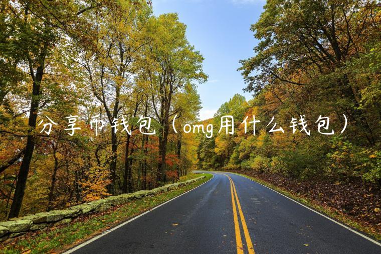 分享币钱包(omg用什么钱包) 分享币钱包(omg用什么钱包)