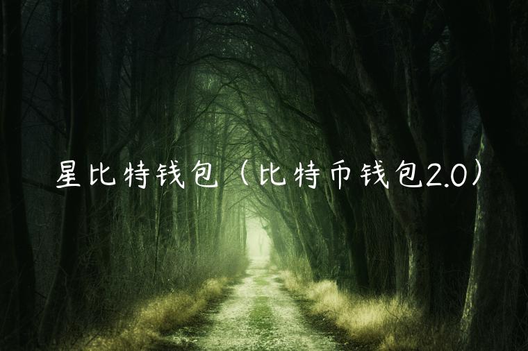 星比特钱包(比特币钱包2.0) 星比特钱包(比特币钱包2.0)