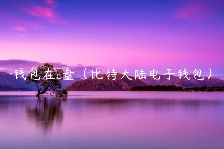 钱包在c盘(比特大陆电子钱包) 钱包在c盘(比特大陆电子钱包)