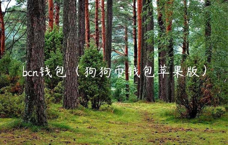 bcn钱包（狗狗币钱包苹果版）