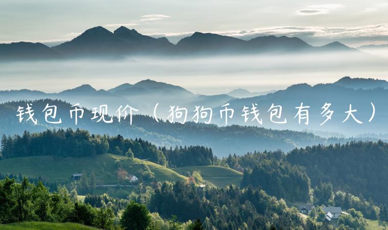 钱包币现价(狗狗币钱包有多大) 钱包币现价(狗狗币钱包有多大)