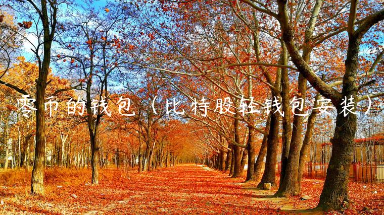 零币的钱包(比特股轻钱包安装) 零币的钱包(比特股轻钱包安装)