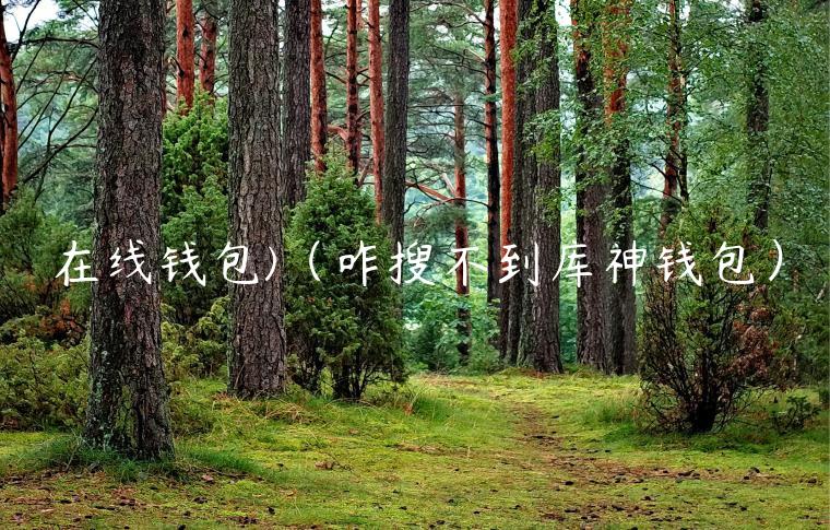 在线钱包)（咋搜不到库神钱包）