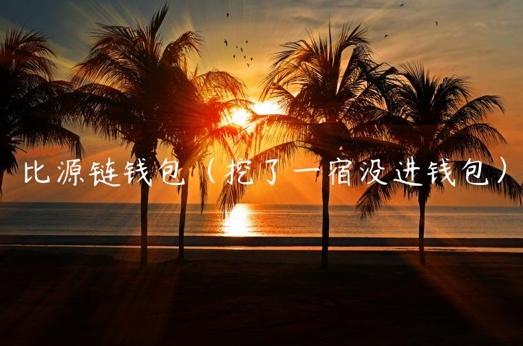 比源链钱包(挖了一宿没进钱包) 比源链钱包(挖了一宿没进钱包)