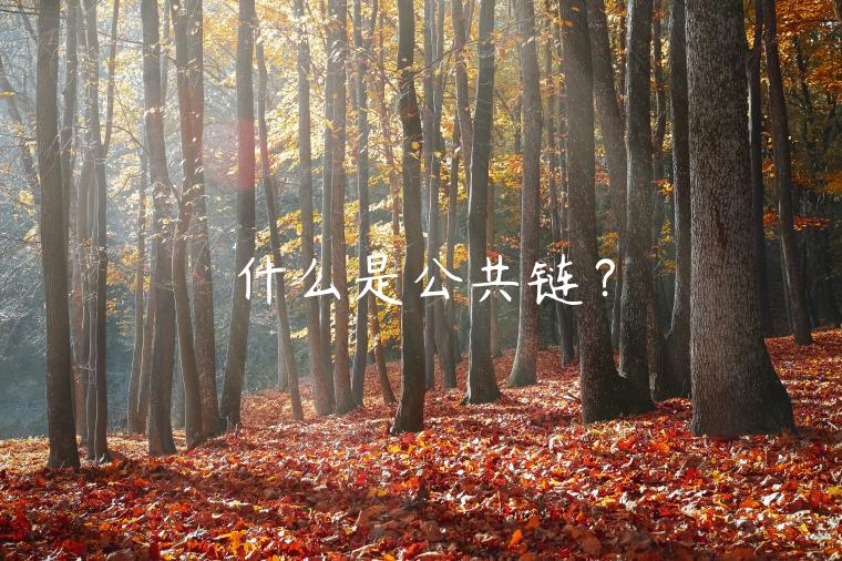 什么是公共链? 什么是公共链?