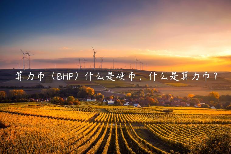 算力币(BHP)什么是硬币,什么是算力币? 算力币(BHP)什么是硬币,什么是算力币?