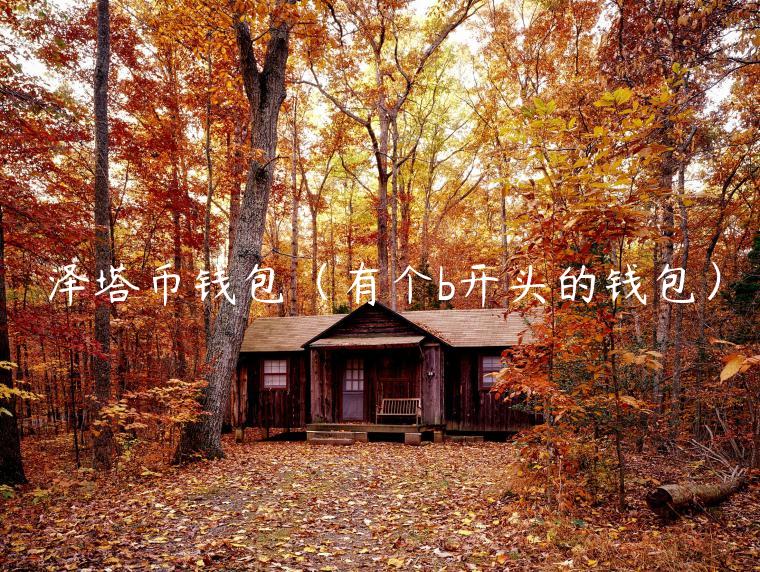 泽塔币钱包(有个b开头的钱包) 泽塔币钱包(有个b开头的钱包)