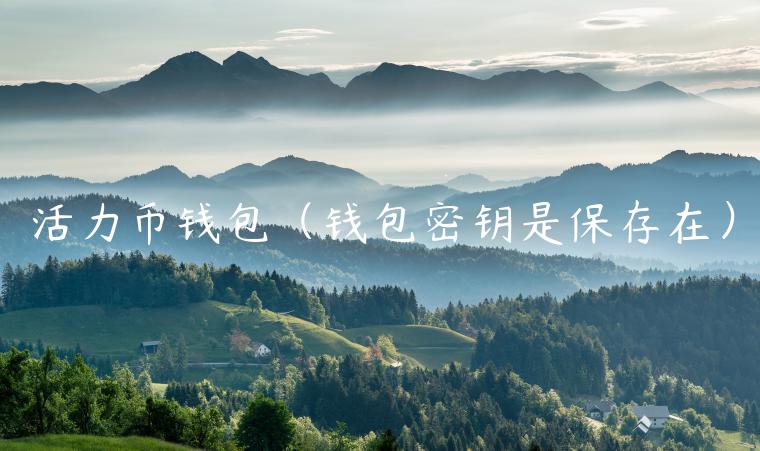 活力币钱包(钱包密钥是保存在) 活力币钱包(钱包密钥是保存在)