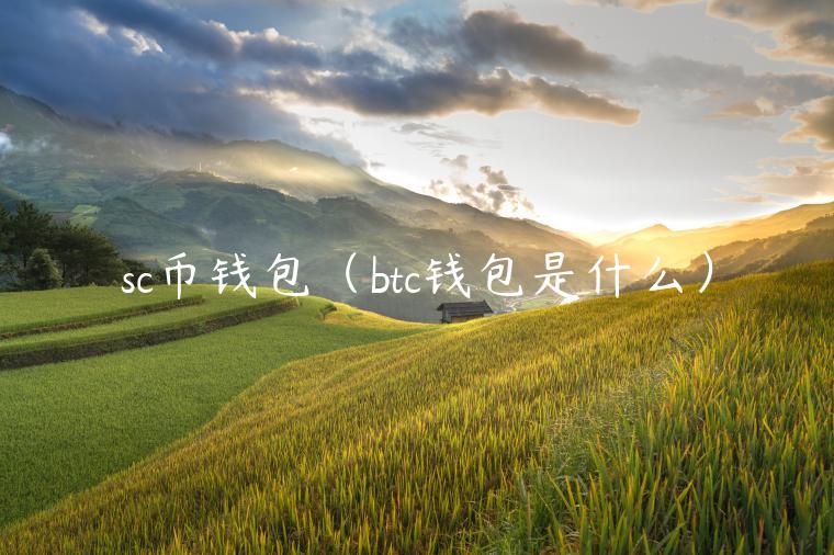 sc币钱包(btc钱包是什么) sc币钱包(btc钱包是什么)