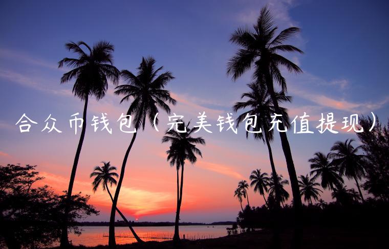 合众币钱包(完美钱包充值提现) 合众币钱包(完美钱包充值提现)