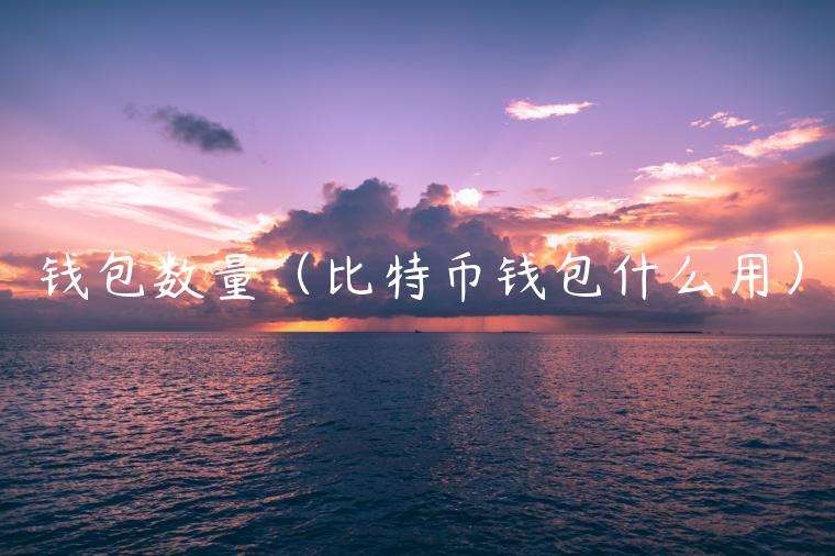 钱包数量(比特币钱包什么用) 钱包数量(比特币钱包什么用)