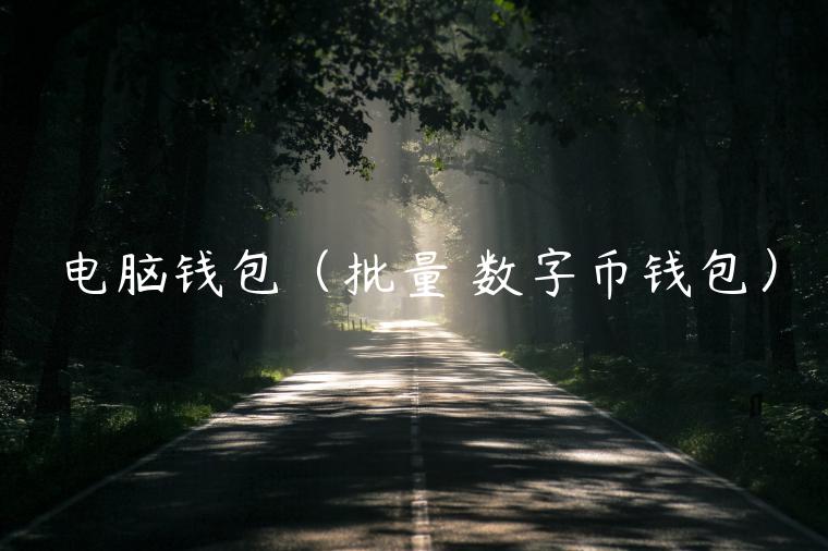 电脑钱包(批量 数字币钱包) 电脑钱包(批量 数字币钱包)