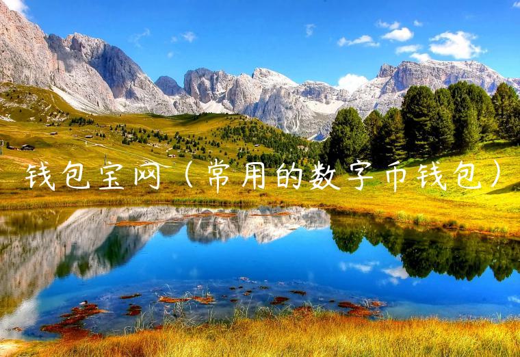 钱包宝网(常用的数字币钱包) 钱包宝网(常用的数字币钱包)