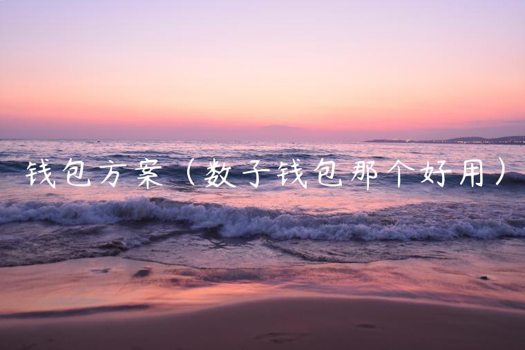 钱包方案(数子钱包那个好用) 钱包方案(数子钱包那个好用)
