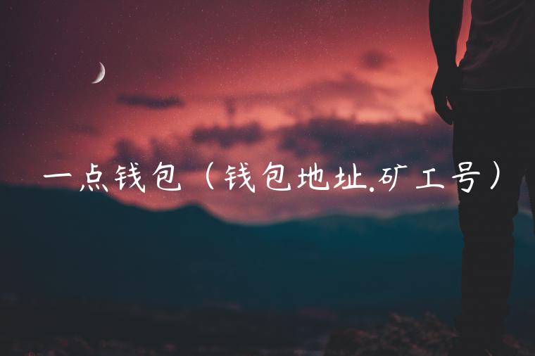 一点钱包(钱包地址.矿工号) 一点钱包(钱包地址.矿工号)