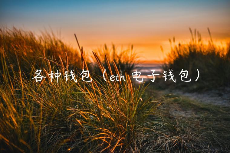 各种钱包(eth 电子钱包) 各种钱包(eth 电子钱包)