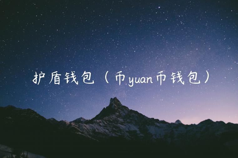 护盾钱包(币yuan币钱包) 护盾钱包(币yuan币钱包)