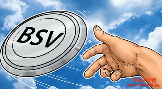 Bitcoin SV (BSV) 是什么?插图 Bitcoin SV (BSV) 是什么?插图