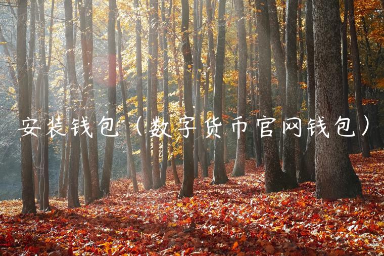 安装钱包(数字货币官网钱包) 安装钱包(数字货币官网钱包)