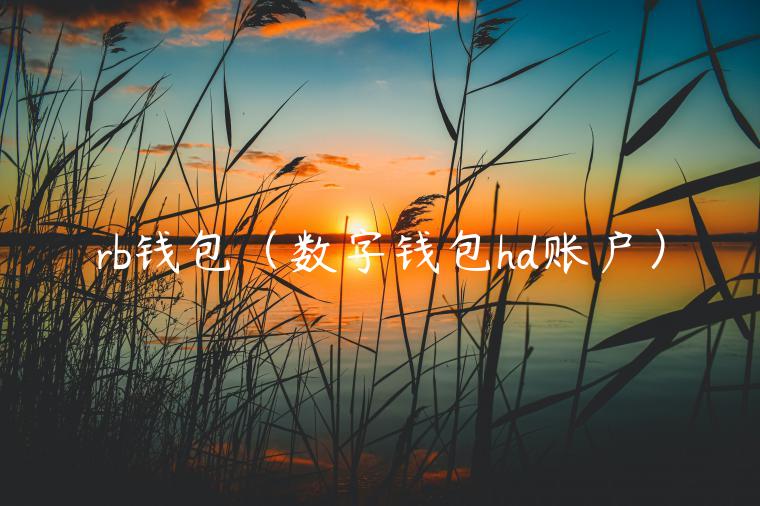 rb钱包(数字钱包hd账户) rb钱包(数字钱包hd账户)