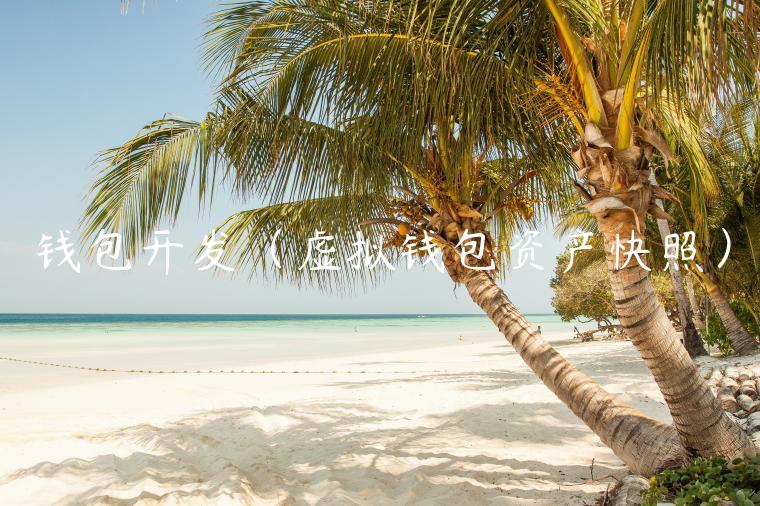 钱包开发(虚拟钱包资产快照) 钱包开发(虚拟钱包资产快照)