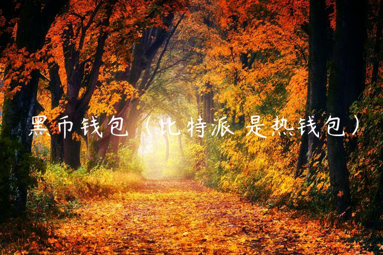 黑币钱包(比特派 是热钱包) 黑币钱包(比特派 是热钱包)