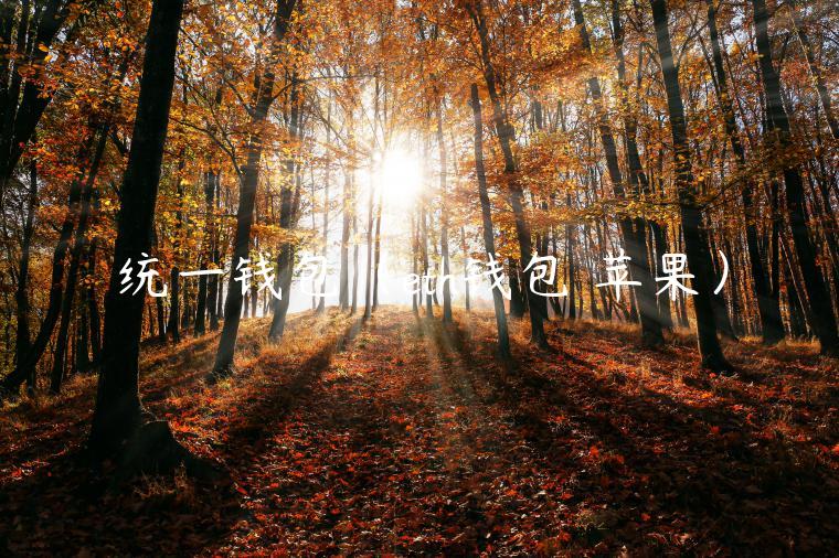 统一钱包(eth钱包 苹果) 统一钱包(eth钱包 苹果)
